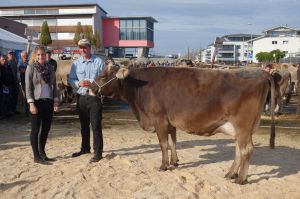 006k-Miss Genetik Blooming BACCARDI Brun Peter